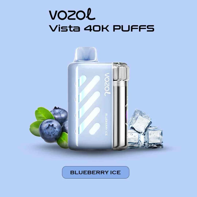 VOZOL Vista 40K Puffs Blueberry Ice