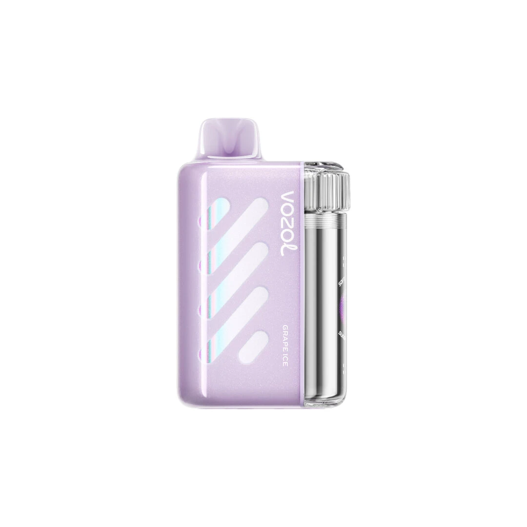 VOZOL Vista 40K Puffs – Grape Ice
